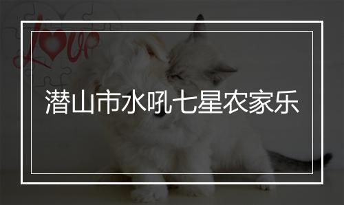 潜山市水吼七星农家乐