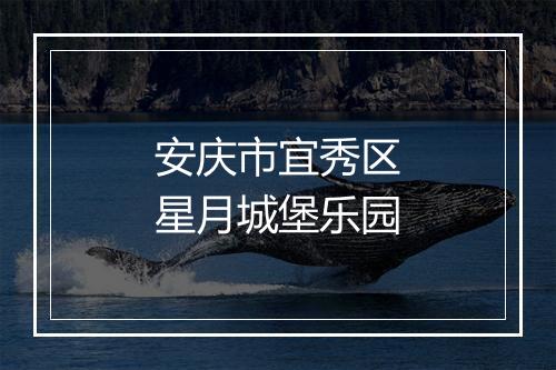 安庆市宜秀区星月城堡乐园