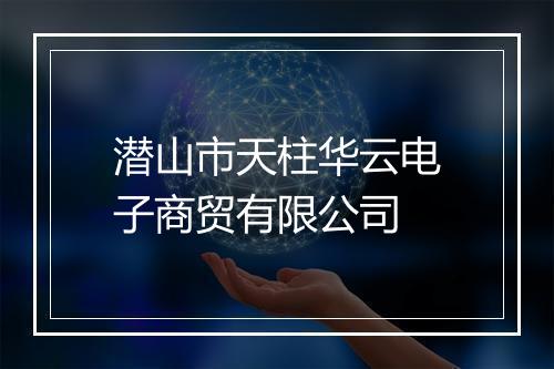 潜山市天柱华云电子商贸有限公司