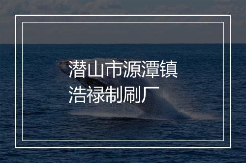 潜山市源潭镇浩禄制刷厂