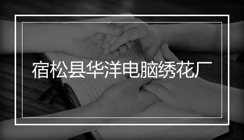 宿松县华洋电脑绣花厂