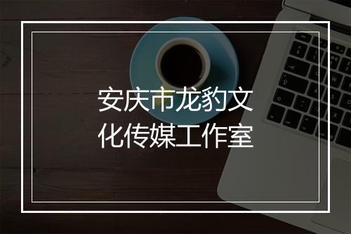 安庆市龙豹文化传媒工作室