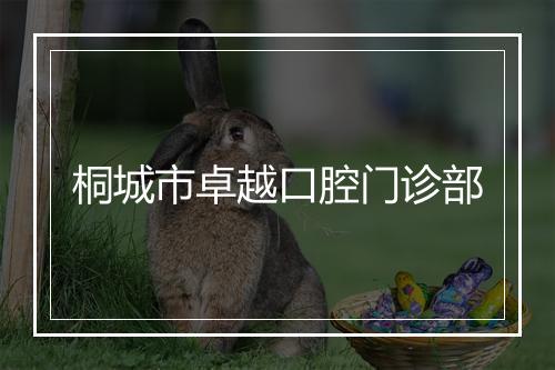 桐城市卓越口腔门诊部