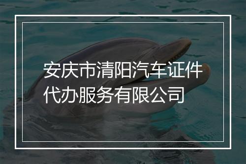 安庆市清阳汽车证件代办服务有限公司