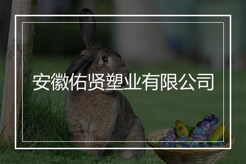 安徽佑贤塑业有限公司