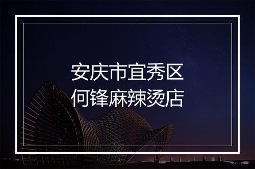 安庆市宜秀区何锋麻辣烫店