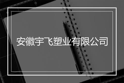 安徽宇飞塑业有限公司