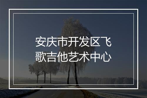 安庆市开发区飞歌吉他艺术中心