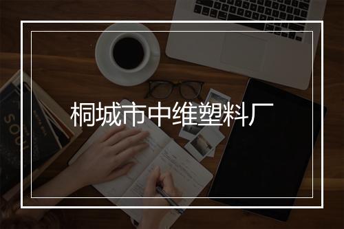 桐城市中维塑料厂