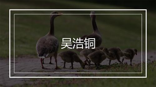吴浩铜
