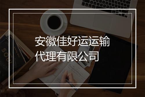 安徽佳好运运输代理有限公司
