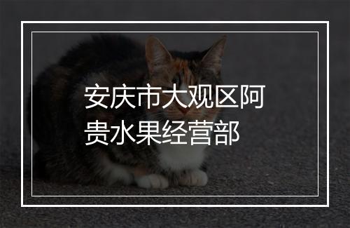 安庆市大观区阿贵水果经营部