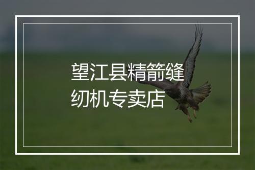 望江县精箭缝纫机专卖店
