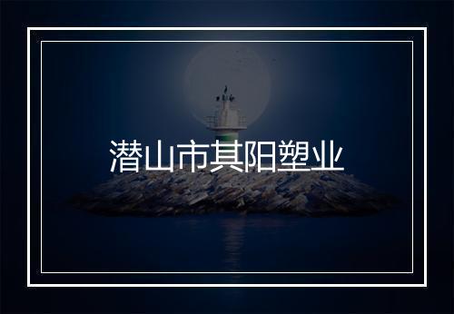 潜山市其阳塑业