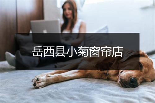 岳西县小菊窗帘店