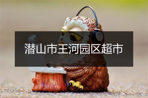 潜山市王河园区超市