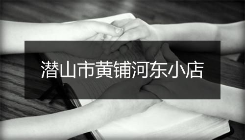潜山市黄铺河东小店