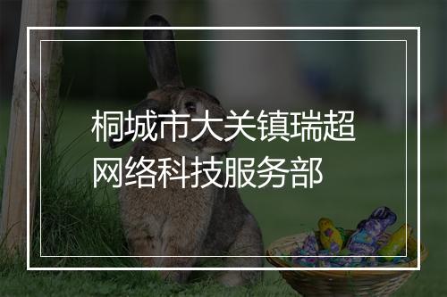 桐城市大关镇瑞超网络科技服务部