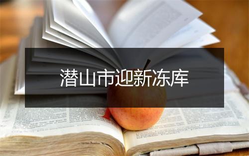 潜山市迎新冻库