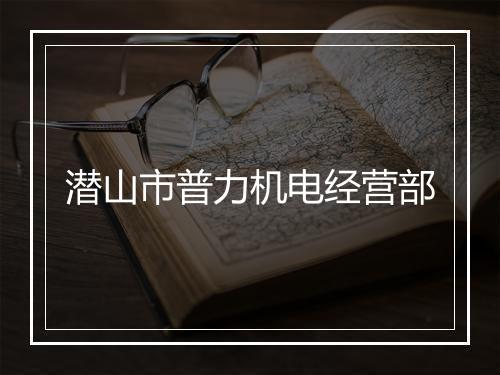 潜山市普力机电经营部