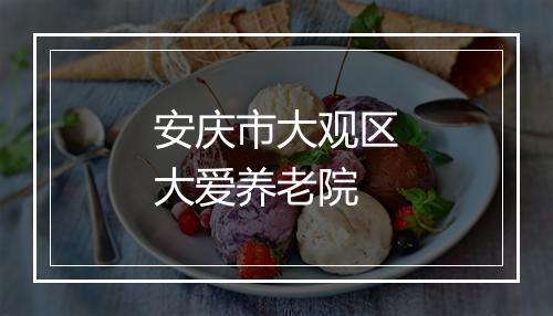安庆市大观区大爱养老院