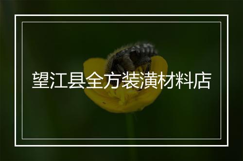 望江县全方装潢材料店