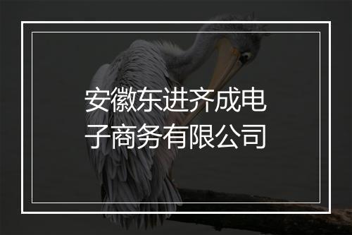 安徽东进齐成电子商务有限公司
