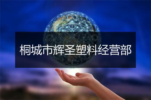 桐城市辉圣塑料经营部