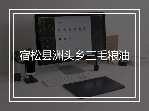 宿松县洲头乡三毛粮油