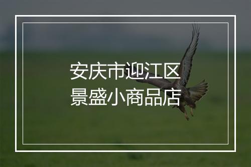 安庆市迎江区景盛小商品店
