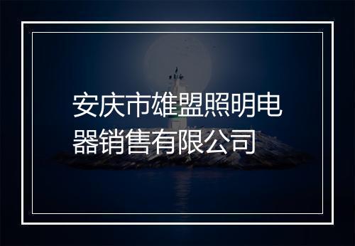 安庆市雄盟照明电器销售有限公司