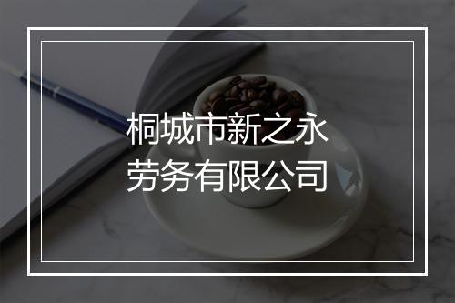 桐城市新之永劳务有限公司