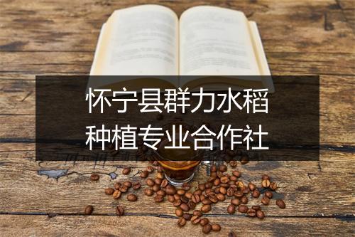 怀宁县群力水稻种植专业合作社