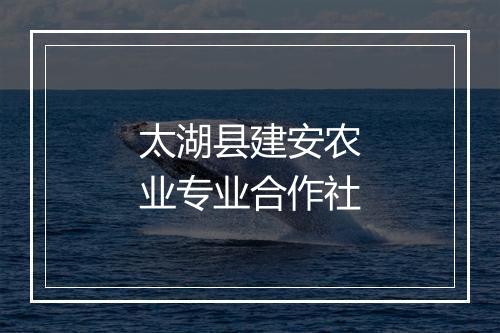 太湖县建安农业专业合作社