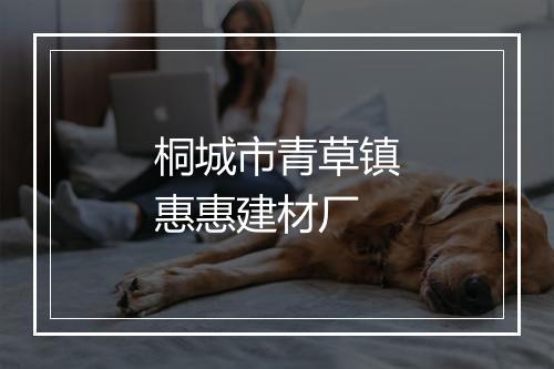 桐城市青草镇惠惠建材厂
