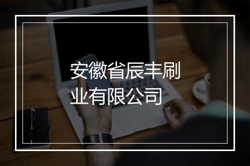 安徽省辰丰刷业有限公司