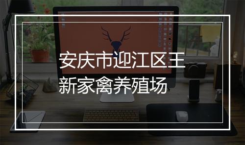 安庆市迎江区王新家禽养殖场