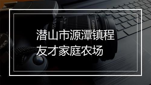 潜山市源潭镇程友才家庭农场