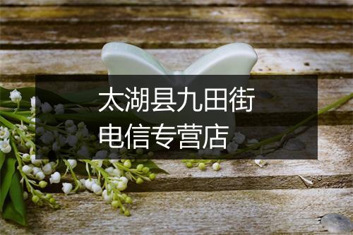 太湖县九田街电信专营店