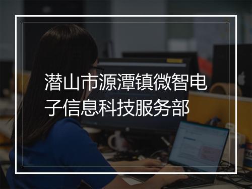 潜山市源潭镇微智电子信息科技服务部
