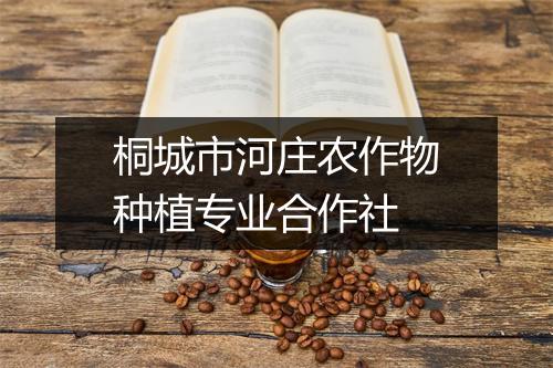 桐城市河庄农作物种植专业合作社