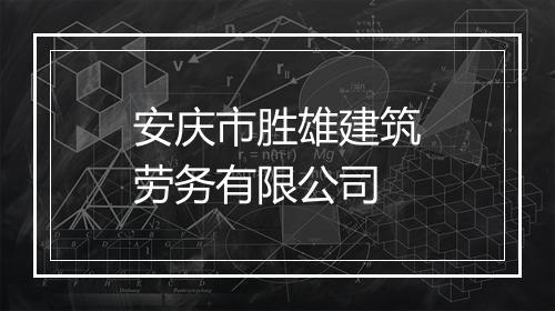 安庆市胜雄建筑劳务有限公司