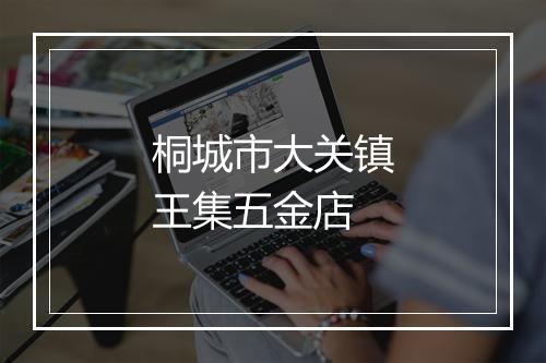 桐城市大关镇王集五金店