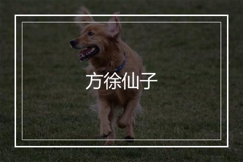 方徐仙子