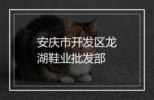 安庆市开发区龙湖鞋业批发部