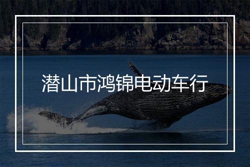 潜山市鸿锦电动车行