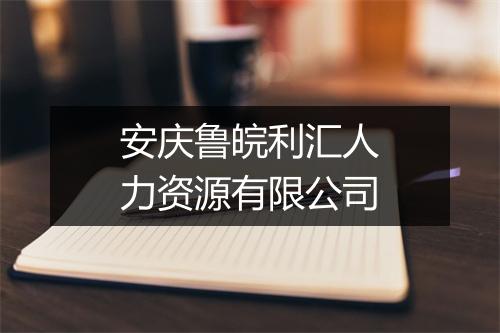 安庆鲁皖利汇人力资源有限公司