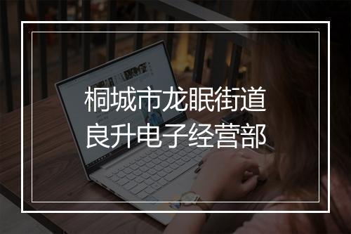 桐城市龙眠街道良升电子经营部