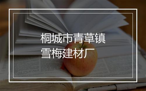 桐城市青草镇雪梅建材厂