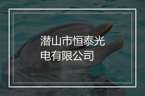 潜山市恒泰光电有限公司
